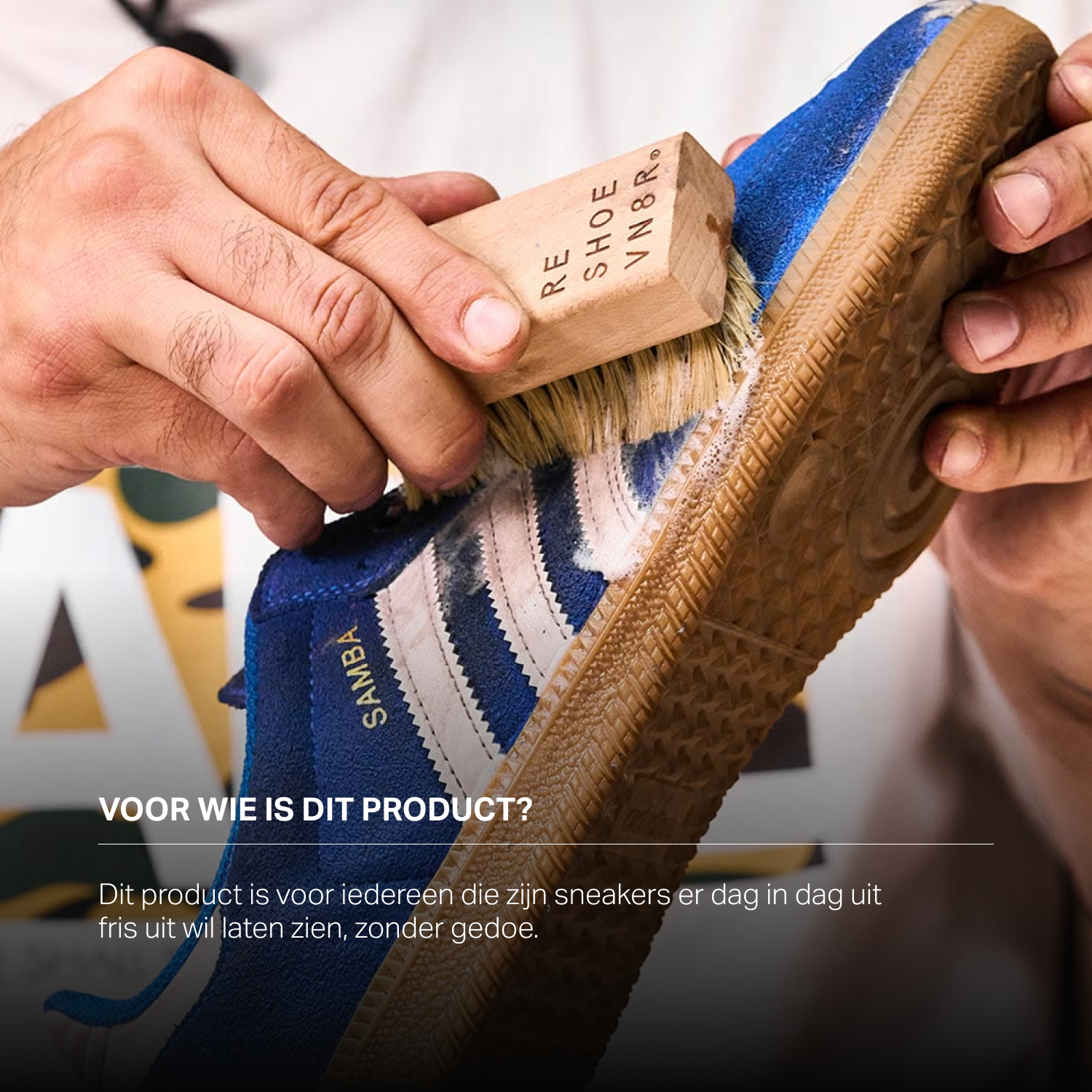 Cleaning Brush
